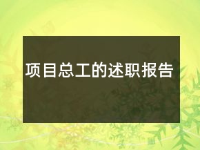項(xiàng)目總工的述職報(bào)告
