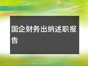 國企財務(wù)出納述職報告