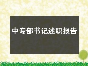 中專部書記述職報(bào)告