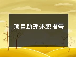 項(xiàng)目助理述職報(bào)告