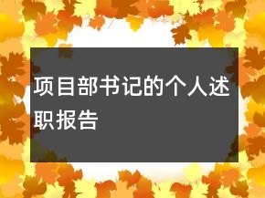 項目部書記的個人述職報告