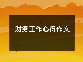 財務(wù)工作心得作文