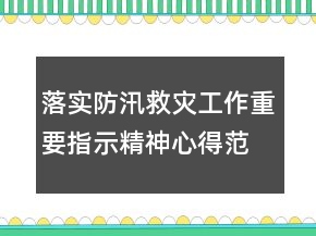 落實(shí)防汛救災(zāi)工作重要指示精神心得范文