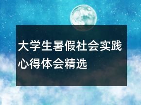 大學生暑假社會實踐心得體會精選