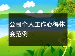 公司個(gè)人工作心得體會(huì)范例