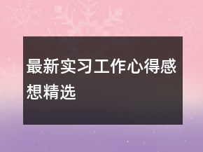 最新實(shí)習(xí)工作心得感想精選