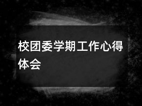 校團委學期工作心得體會
