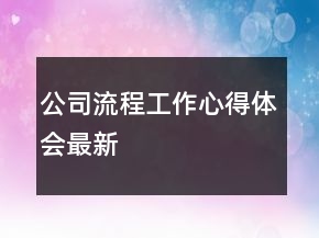 公司流程工作心得體會(huì)最新