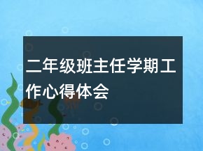 二年級(jí)班主任學(xué)期工作心得體會(huì)