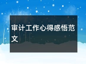 審計工作心得感悟范文