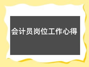 會計員崗位工作心得