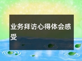 業(yè)務(wù)拜訪心得體會(huì)感受
