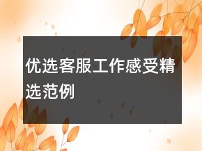 優(yōu)選客服工作感受精選范例
