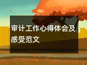 審計(jì)工作心得體會(huì)及感受范文