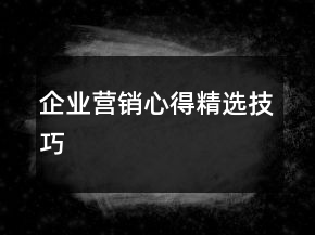 企業(yè)營(yíng)銷心得精選技巧
