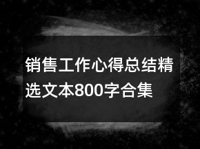 銷售工作心得總結(jié)精選文本800字合集