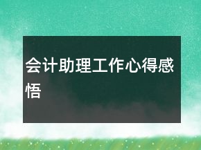 會計(jì)助理工作心得感悟