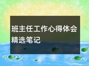 班主任工作心得體會(huì)精選筆記