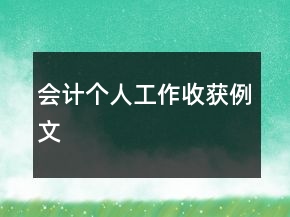 會(huì)計(jì)個(gè)人工作收獲例文