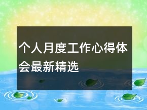 個(gè)人月度工作心得體會最新精選
