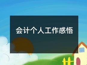會計個人工作感悟