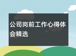 公司崗前工作心得體會(huì)精選