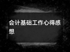 會(huì)計(jì)基礎(chǔ)工作心得感想