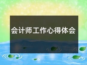 會(huì)計(jì)師工作心得體會(huì)