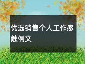 優(yōu)選銷售個人工作感觸例文