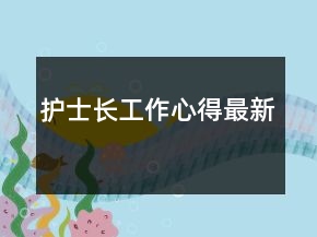 護士長工作心得最新