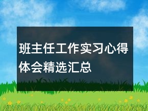 班主任工作實習心得體會精選匯總