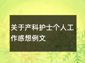 關(guān)于產(chǎn)科護(hù)士個(gè)人工作感想例文