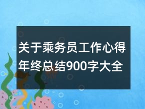 關(guān)于乘務(wù)員工作心得年終總結(jié)900字大全