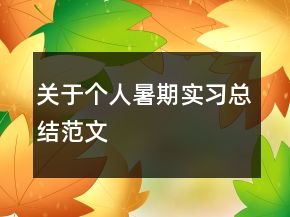 關(guān)于個(gè)人暑期實(shí)習(xí)總結(jié)范文