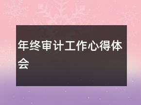 年終審計工作心得體會
