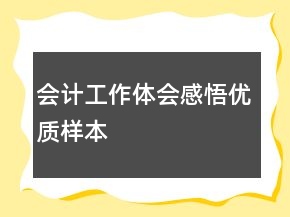 會計(jì)工作體會感悟優(yōu)質(zhì)樣本