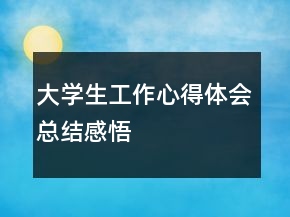 大學生工作心得體會總結感悟
