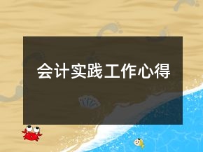 會計實踐工作心得