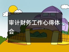 審計(jì)財(cái)務(wù)工作心得體會(huì)