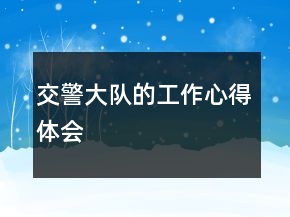 交警大隊(duì)的工作心得體會(huì)