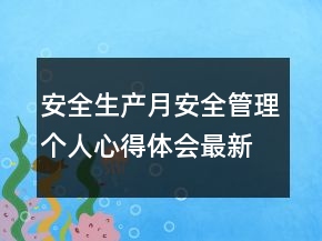 安全生產(chǎn)月安全管理個人心得體會最新
