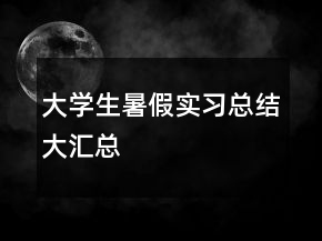 大學(xué)生暑假實習(xí)總結(jié)大匯總