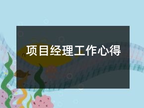 項目經(jīng)理工作心得