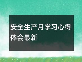 安全生產(chǎn)月學(xué)習(xí)心得體會(huì)最新