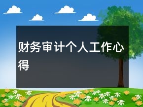 財(cái)務(wù)審計(jì)個(gè)人工作心得