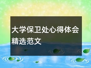 大學(xué)保衛(wèi)處心得體會精選范文