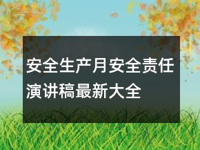 安全生產(chǎn)月安全責(zé)任演講稿最新大全
