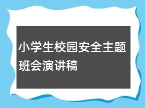 小學(xué)生校園安全主題班會演講稿
