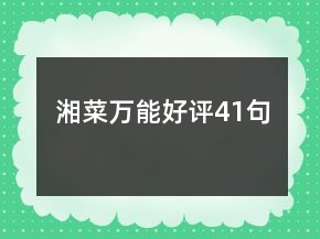 湘菜萬能好評41句