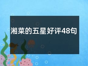 湘菜的五星好評(píng)48句